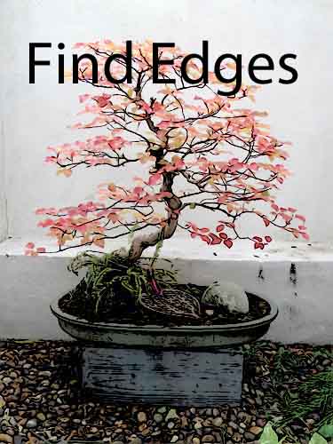find edges